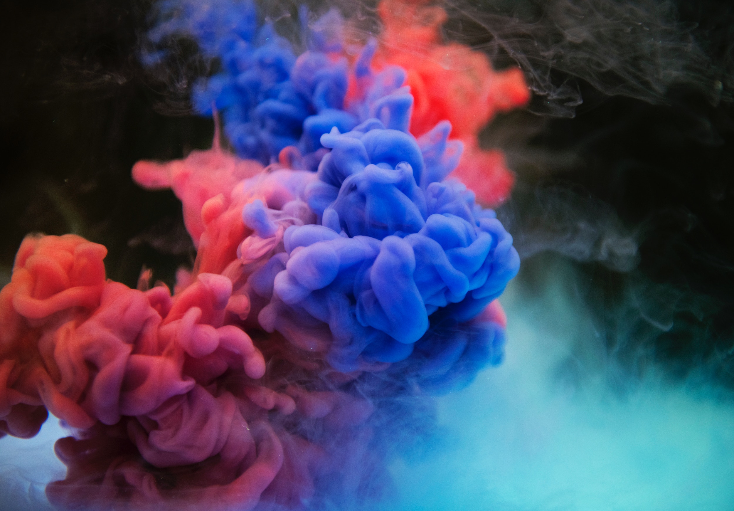 rawpixel-633849-unsplash