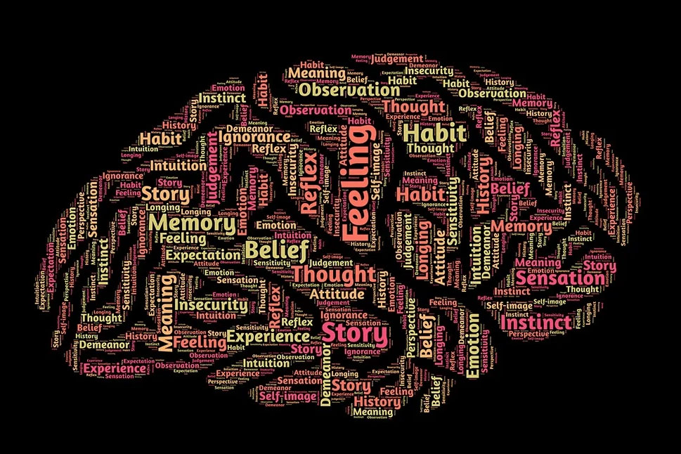 Storytelling: Why the Brain loves Stories