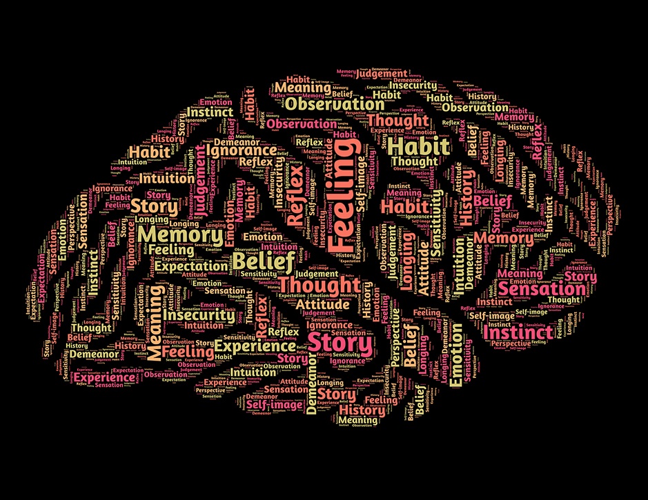 Storytelling: Why the Brain loves Stories