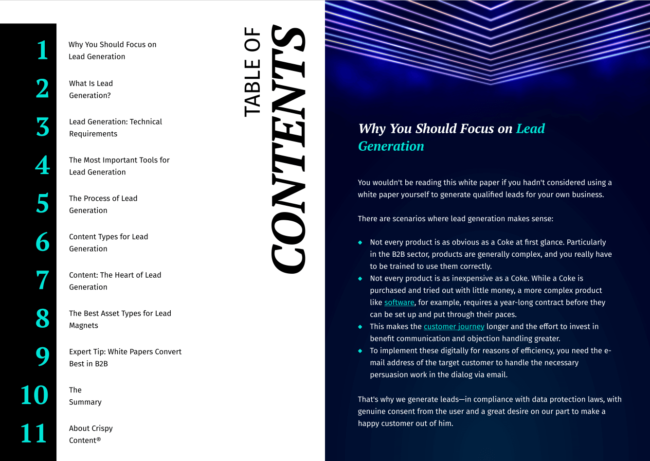 B2B Leadgen White Paper Gallery Crispy Content DE 1