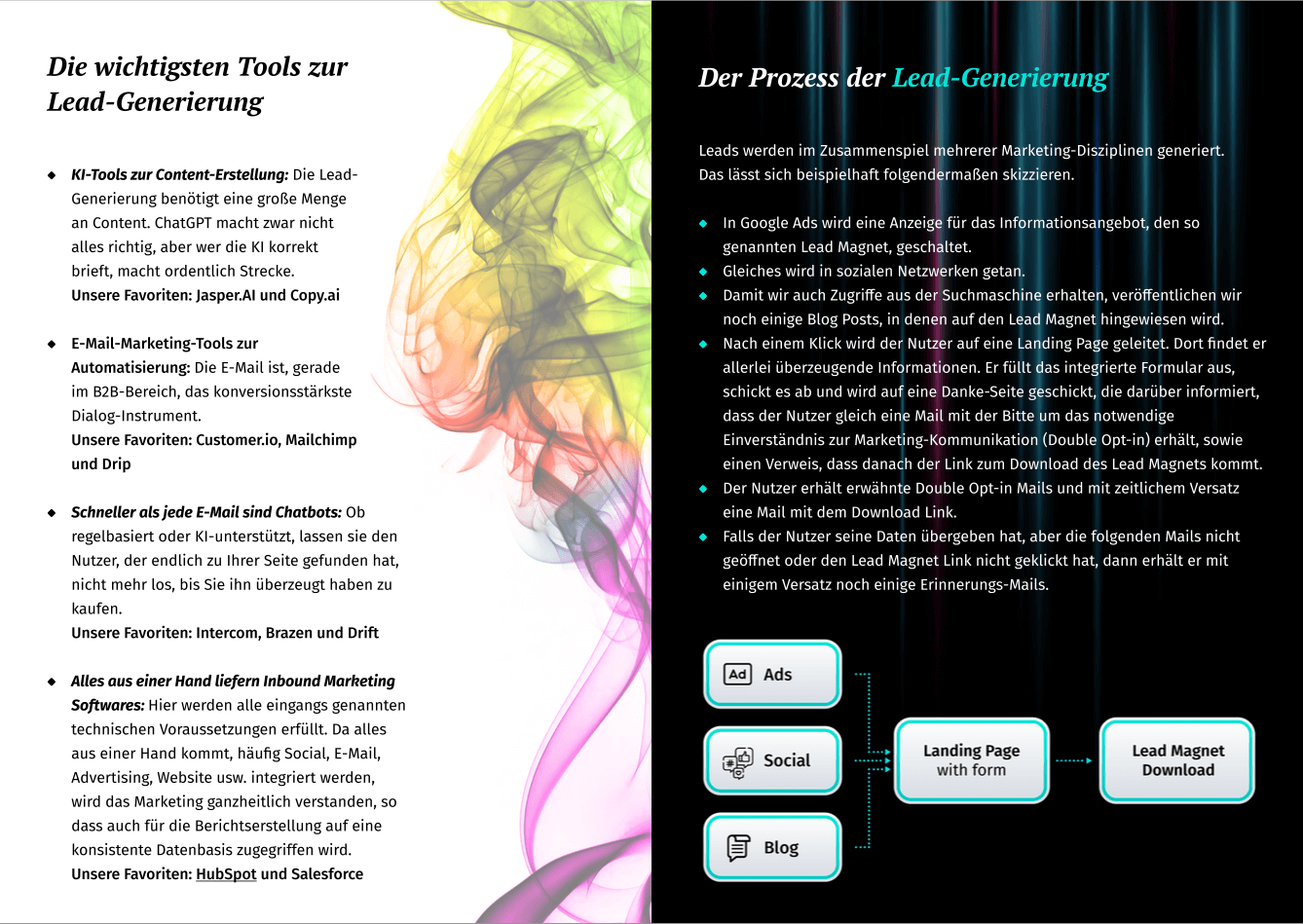 B2B Leadgen White Paper Gallery Crispy Content DE 3